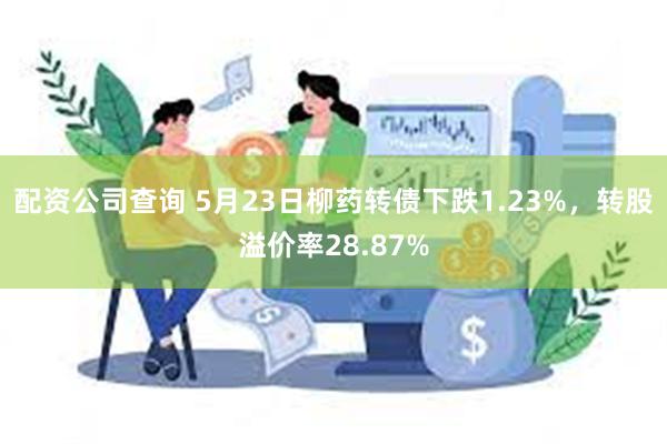 配资公司查询 5月23日柳药转债下跌1.23%，转股溢价率28.87%