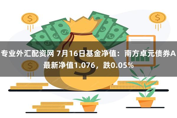 专业外汇配资网 7月16日基金净值：南方卓元债券A最新净值1.076，跌0.05%