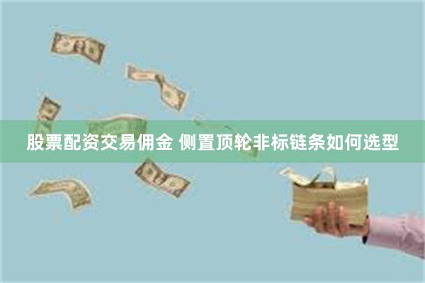 股票配资交易佣金 侧置顶轮非标链条如何选型