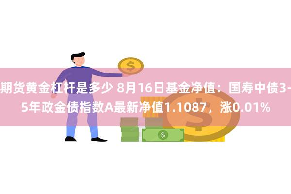 期货黄金杠杆是多少 8月16日基金净值：国寿中债3-5年政金债指数A最新净值1.1087，涨0.01%