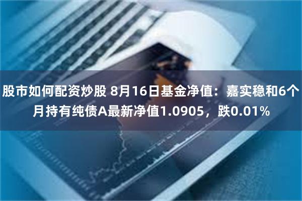 股市如何配资炒股 8月16日基金净值：嘉实稳和6个月持有纯债A最新净值1.0905，跌0.01%