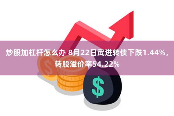 炒股加杠杆怎么办 8月22日武进转债下跌1.44%，转股溢价率54.22%