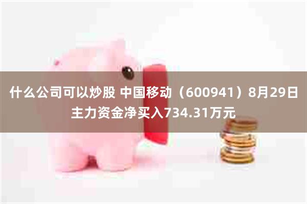 什么公司可以炒股 中国移动（600941）8月29日主力资金净买入734.31万元