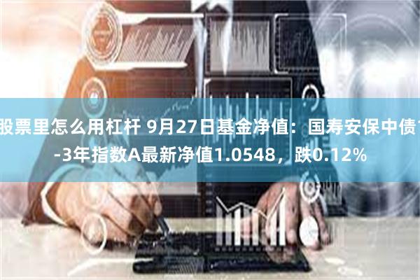 股票里怎么用杠杆 9月27日基金净值：国寿安保中债1-3年指数A最新净值1.0548，跌0.12%