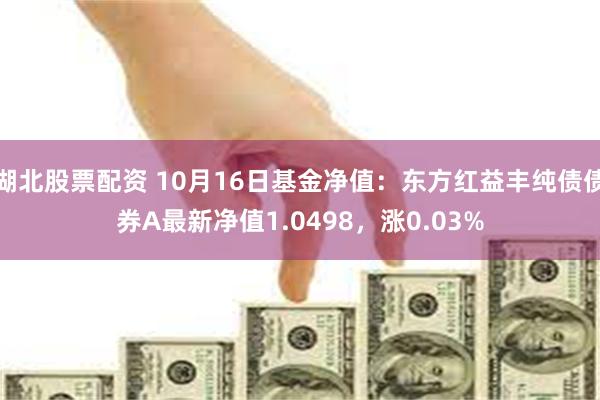 湖北股票配资 10月16日基金净值：东方红益丰纯债债券A最新净值1.0498，涨0.03%