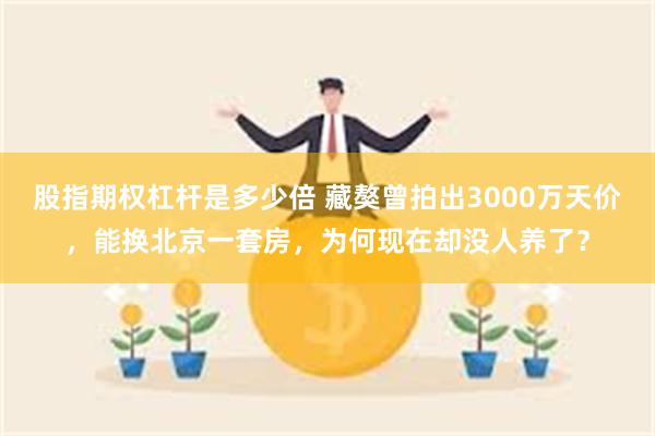 股指期权杠杆是多少倍 藏獒曾拍出3000万天价，能换北京一套房，为何现在却没人养了？