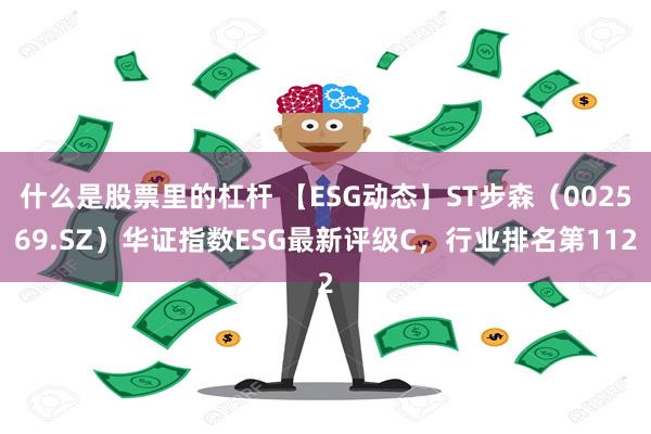 什么是股票里的杠杆 【ESG动态】ST步森（002569.SZ）华证指数ESG最新评级C，行业排名第112