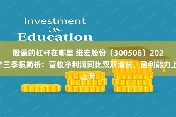 股票的杠杆在哪里 维宏股份（300508）2024年三季报简析：营收净利润同比双双增长，盈利能力上升