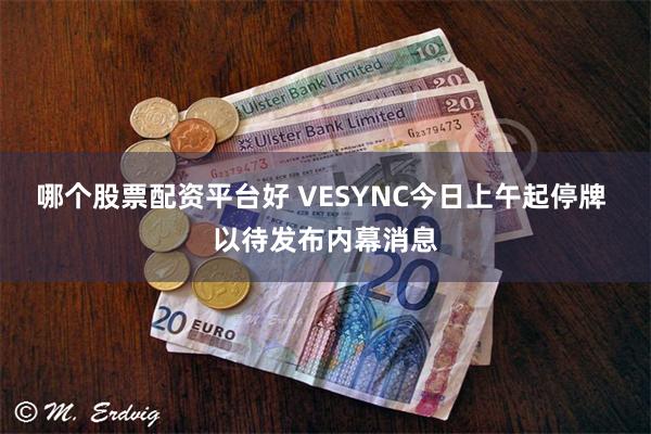 哪个股票配资平台好 VESYNC今日上午起停牌 以待发布内幕消息