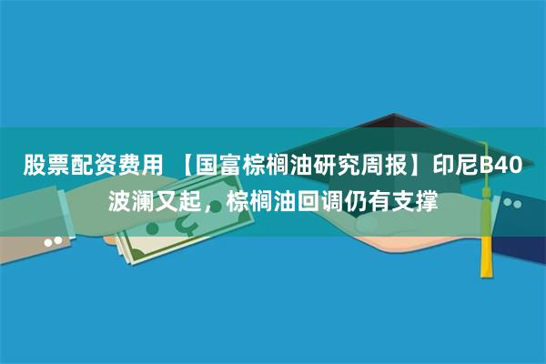 股票配资费用 【国富棕榈油研究周报】印尼B40波澜又起，棕榈油回调仍有支撑