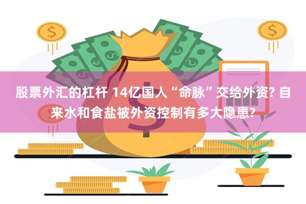 股票外汇的杠杆 14亿国人“命脉”交给外资? 自来水和食盐被外资控制有多大隐患?