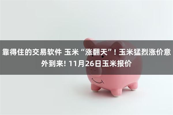 靠得住的交易软件 玉米“涨翻天”! 玉米猛烈涨价意外到来! 11月26日玉米报价