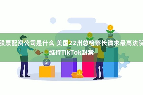 股票配资公司是什么 美国22州总检察长请求最高法院维持TikTok封禁