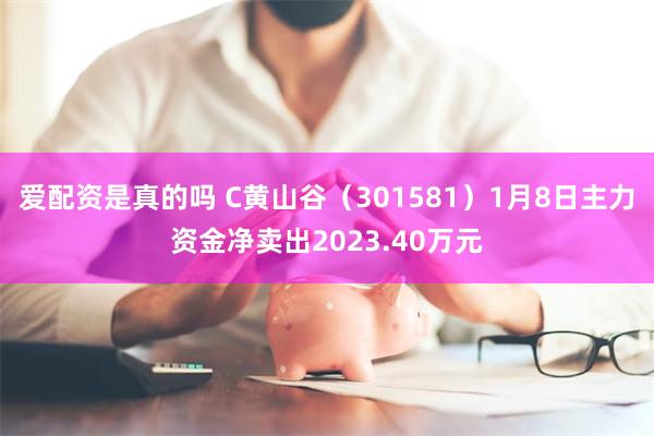 爱配资是真的吗 C黄山谷（301581）1月8日主力资金净卖出2023.40万元