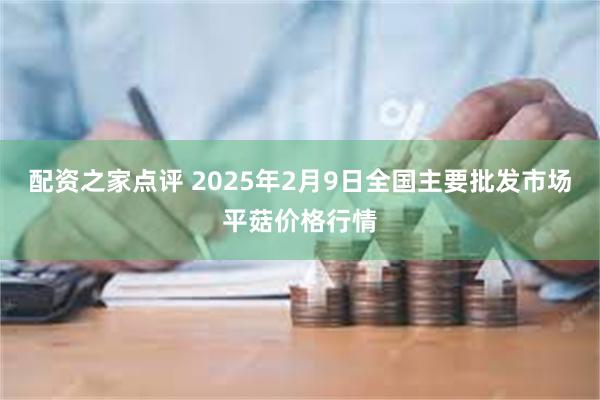 配资之家点评 2025年2月9日全国主要批发市场平菇价格行情