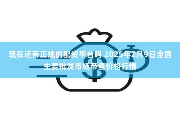 现在还有正规的配资平台吗 2025年2月9日全国主要批发市场带鱼价格行情